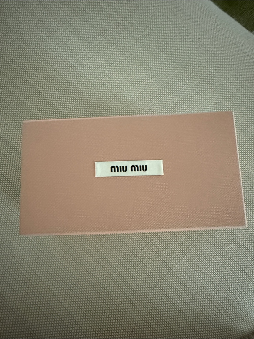 Miu Miu Blush Pink Logo Sunglass Case
